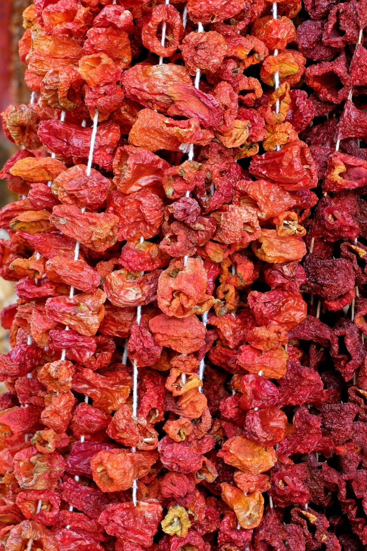 Getrocknete Paprika zum Füllen – 1 Bund (40–45 Stück)